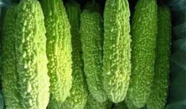 南宁网红吃瓜视频,揭秘城市生活趣味瞬间