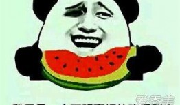 娱乐吃瓜的配音是什么意思,揭秘“娱乐吃瓜”配音背后的趣味与魅力